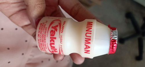 yakult