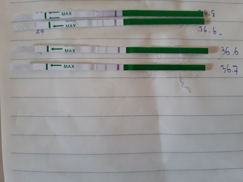 ไข่ตกดูยังไงคะ