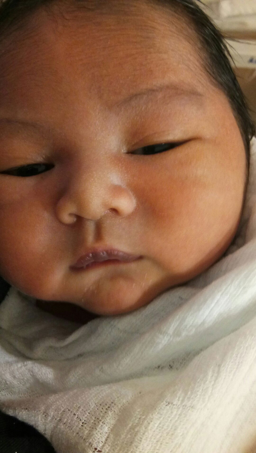 syaza aqilah binti jamaludin profile icon