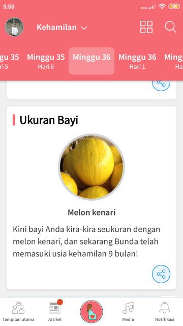 Perjalanan Yang Indah Selama 9bulan