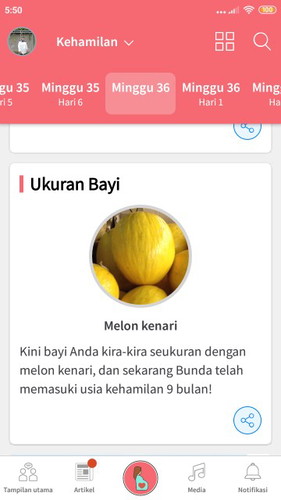 Perjalanan Yang Indah Selama 9bulan