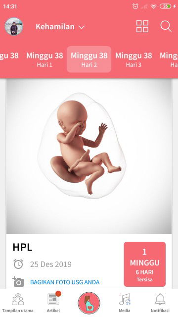 38w 1d Belum Ada Gelombang Cinta