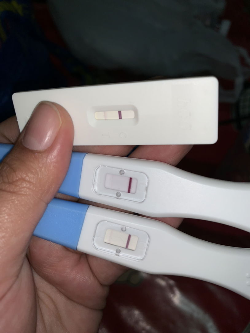 ผลตรวจท้องไหม