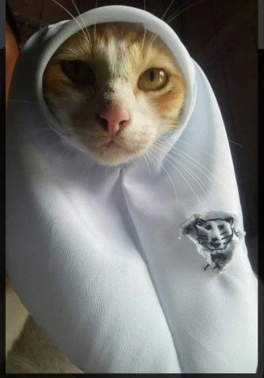 Sharifah Maimunah profile icon