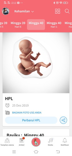 40 weeks