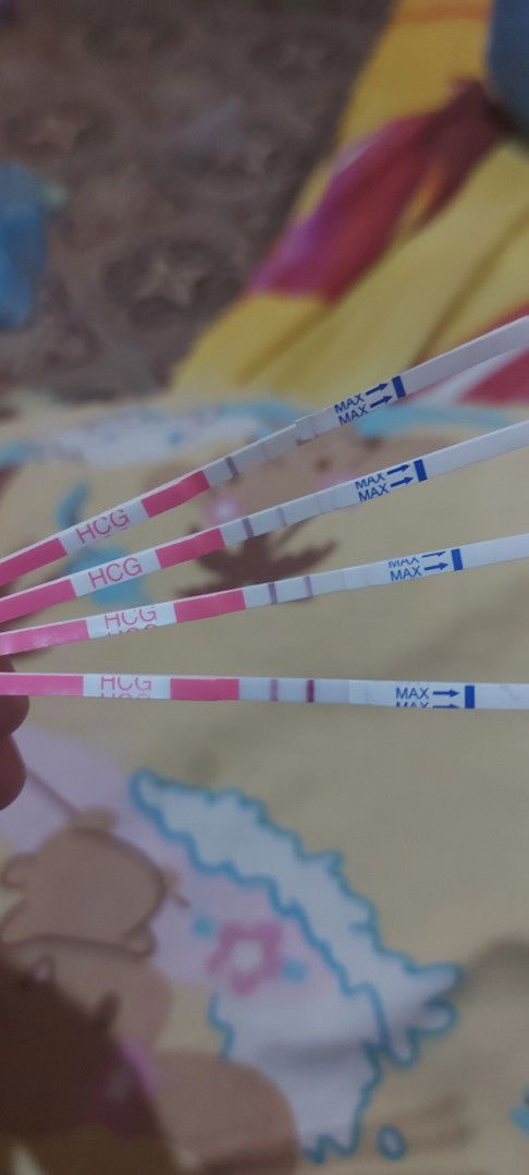 MiLa Pebria profile icon