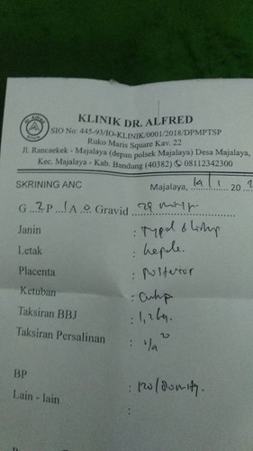 Hasil usg