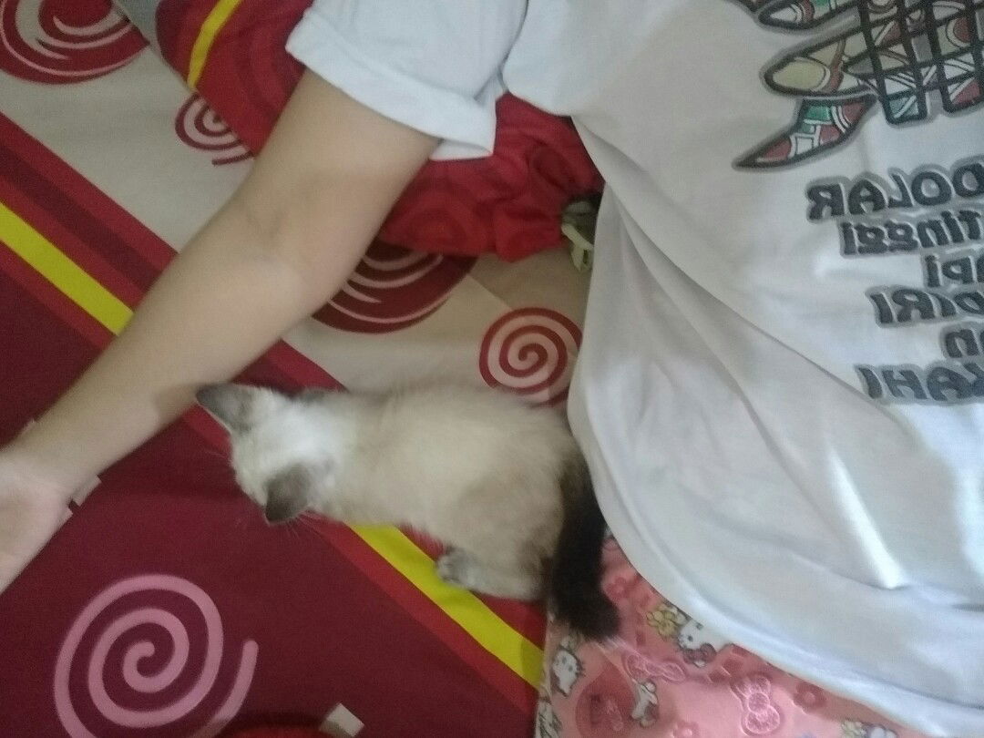 Baby Zee profile icon