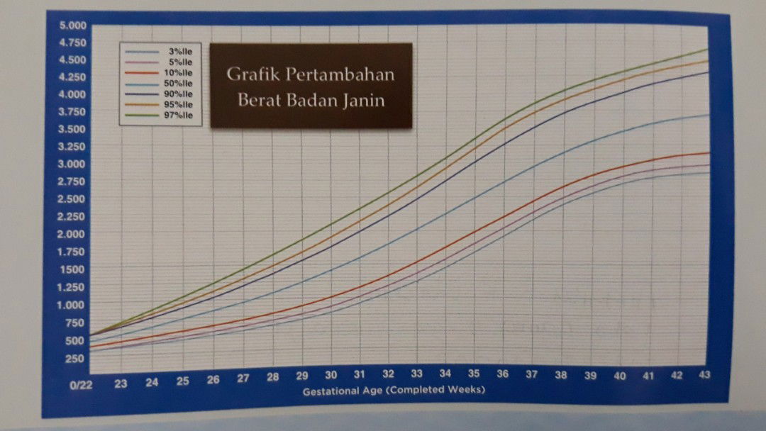 Sharing Grafik BBJ berdasarkan GA