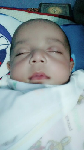 2bulan setengah