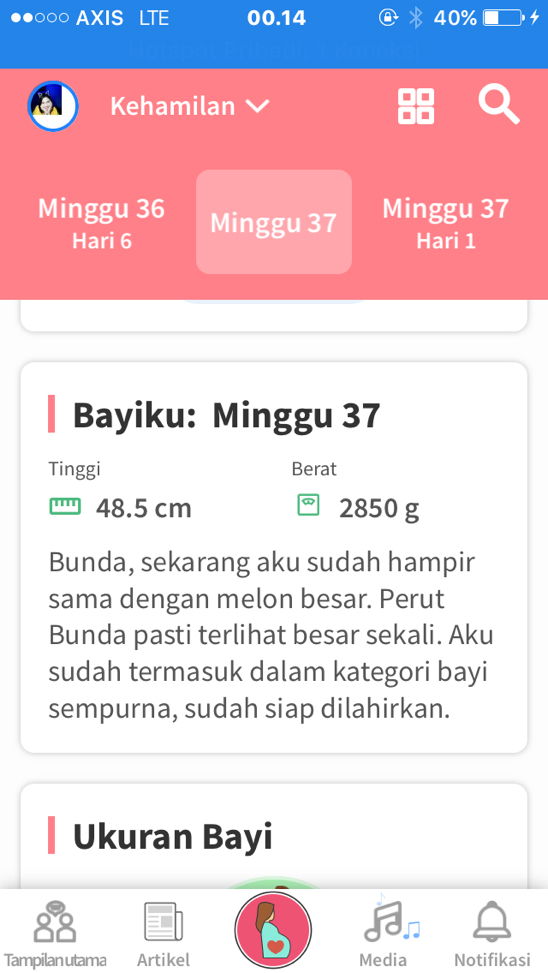 MenungguGelombangCinta