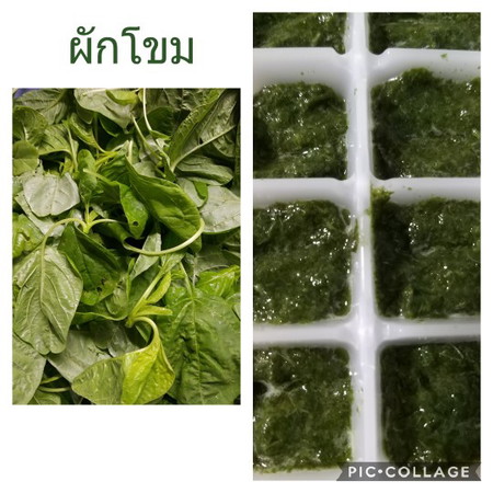 สต๊อคผักไว้เติมความอร่อย