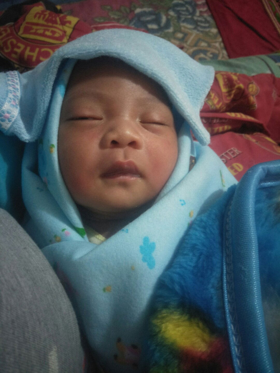 alhamdulillah launching