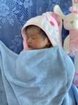Jidapa profile icon