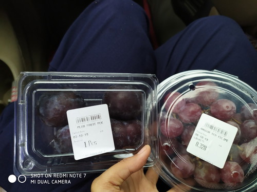 boleh ga makan PLUM?