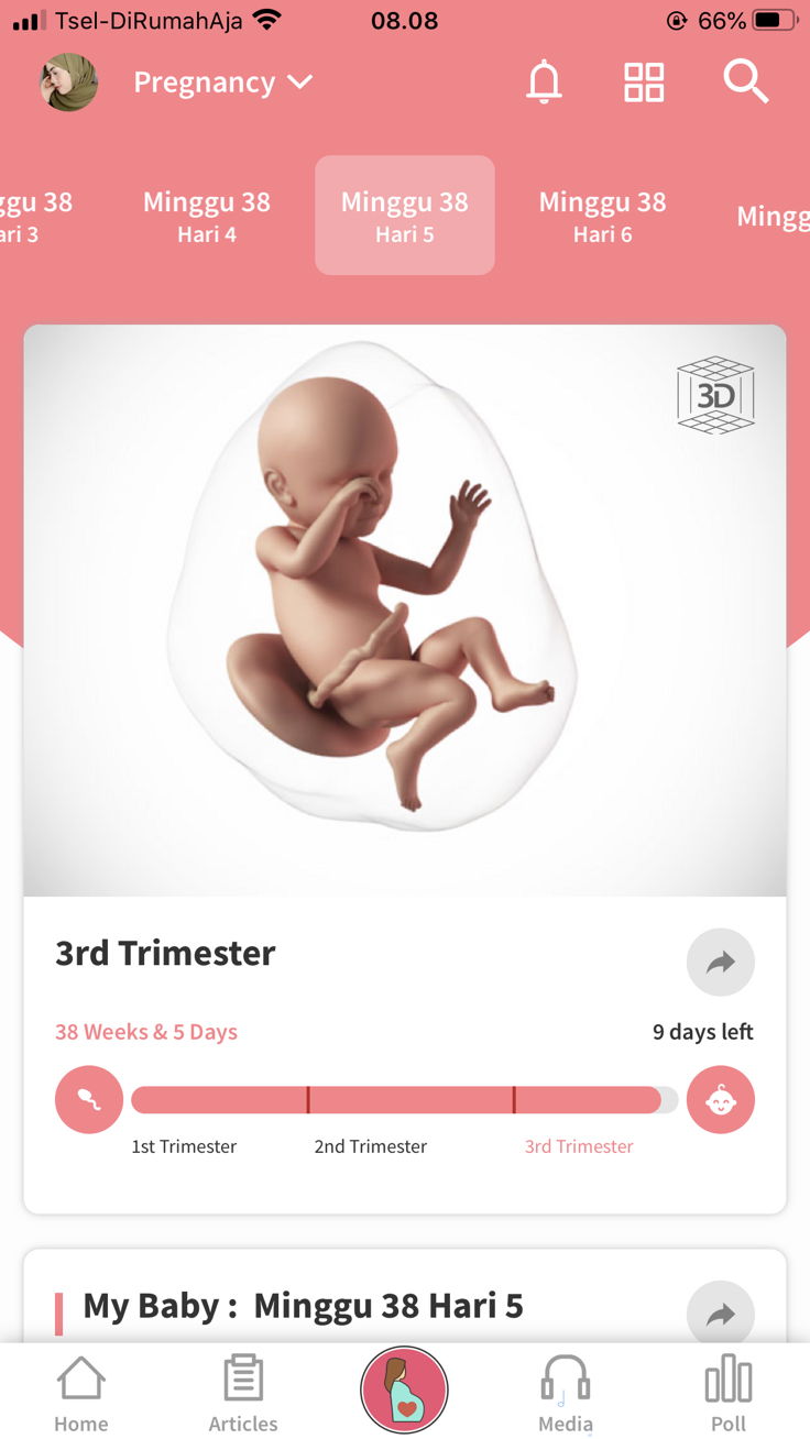 38w5d