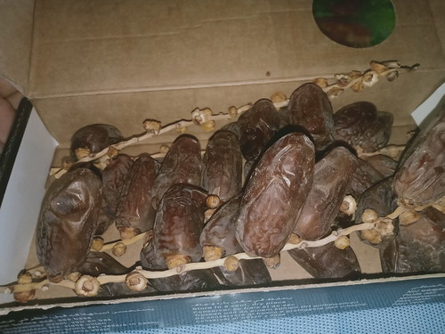 Induksi Alami
