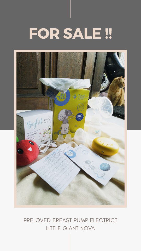 Preloved pompa asi Little Giant Elektrik