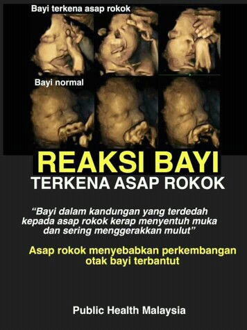info kesihatan