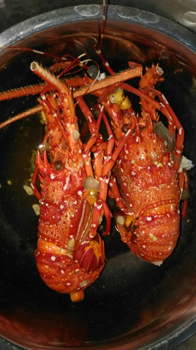 lobster