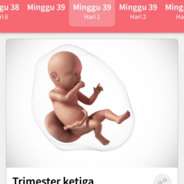 belum ada tanda2?