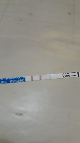 penasaran hasil nya