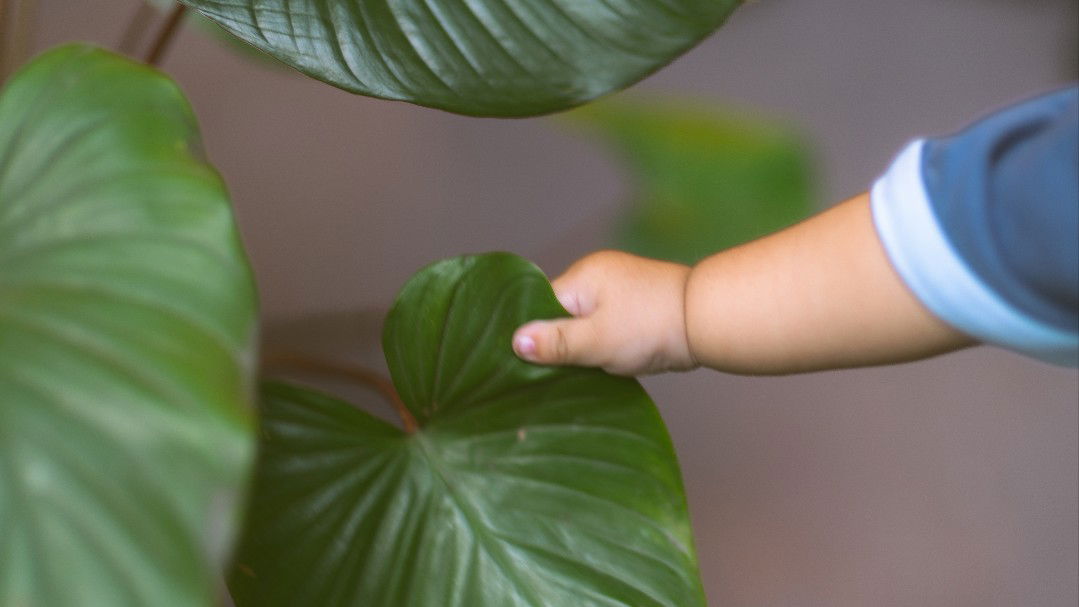 Maria Belen profile icon