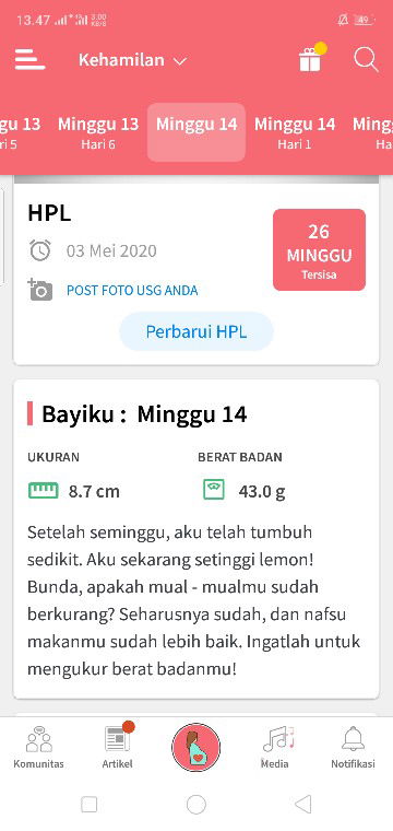 hamil 14 minggu]?