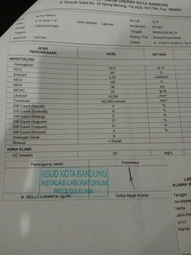 apah kah halis LAB ini normal untuk bayi baru lahir