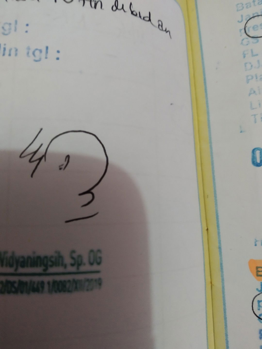 bun artinya apa y ...letak..posisi ..dedeny ..