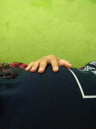 Hamil Kecil