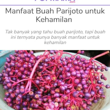 Parijoto