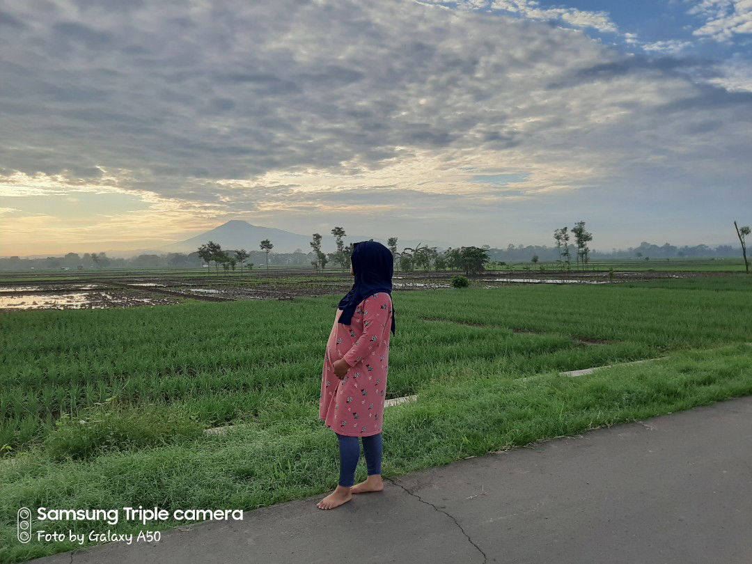 kholifah profile icon