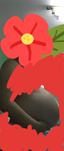 38 weeks