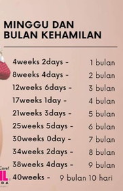 Kiraan bulan kehamilan