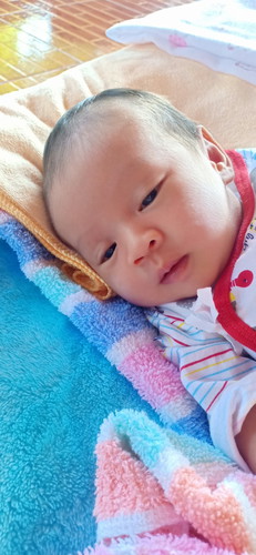 ด.ช.กังฟู