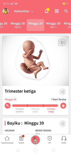 belum masuk panggul
