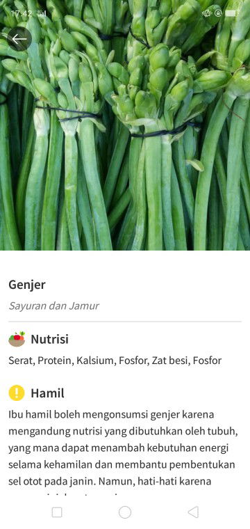 sayur genjer/ gendott