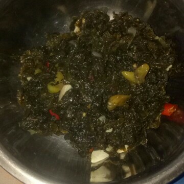jamur lumut
