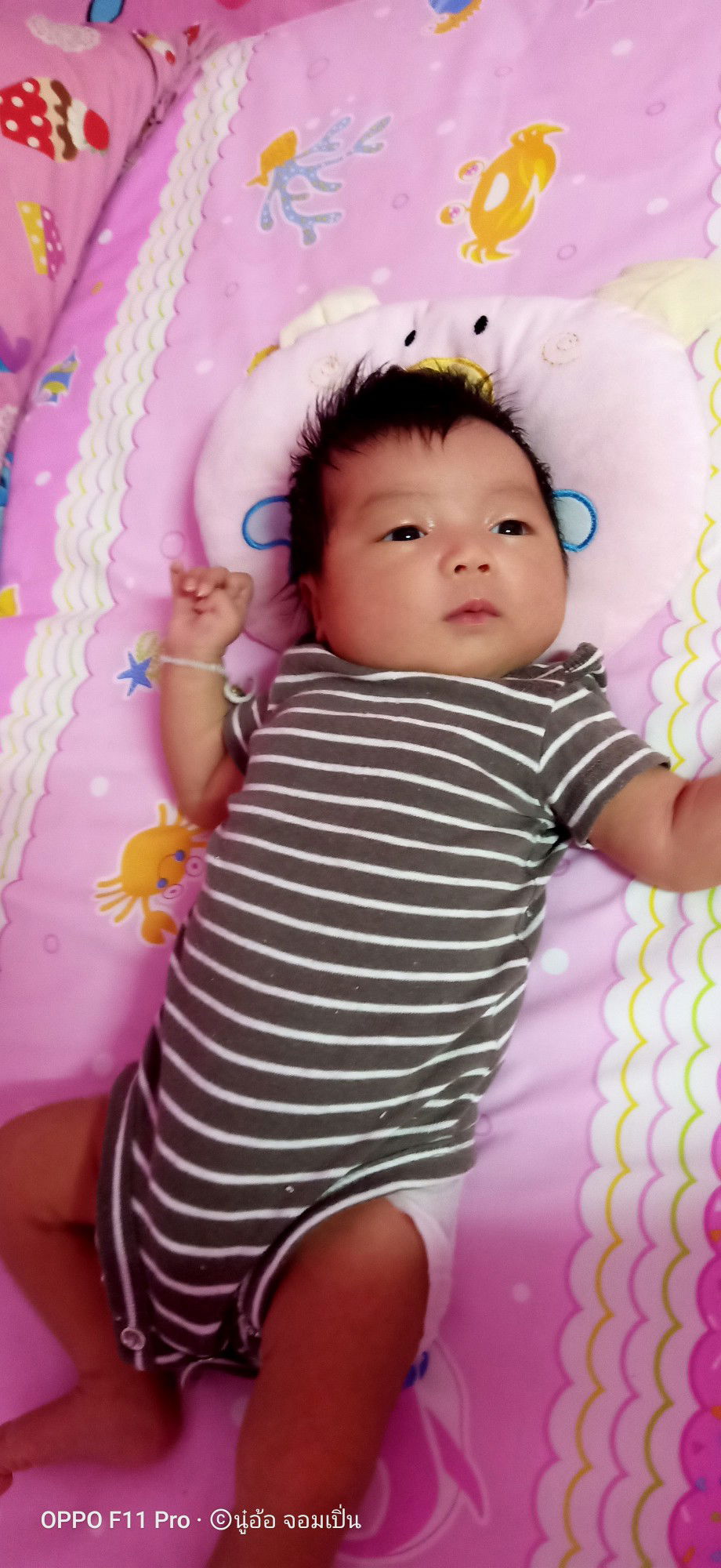 นู๋อ้อ จอมเปิ่น profile icon