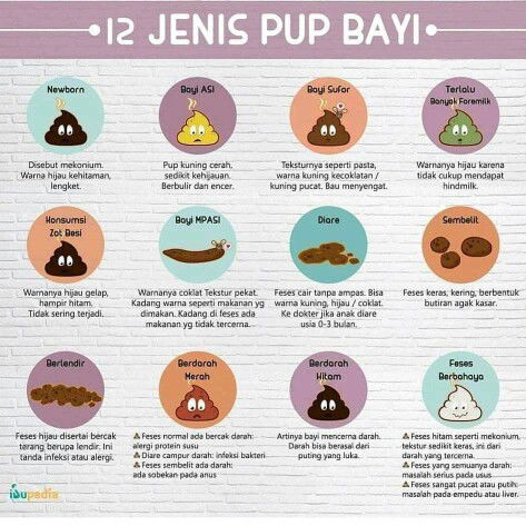 #Pup Bayi