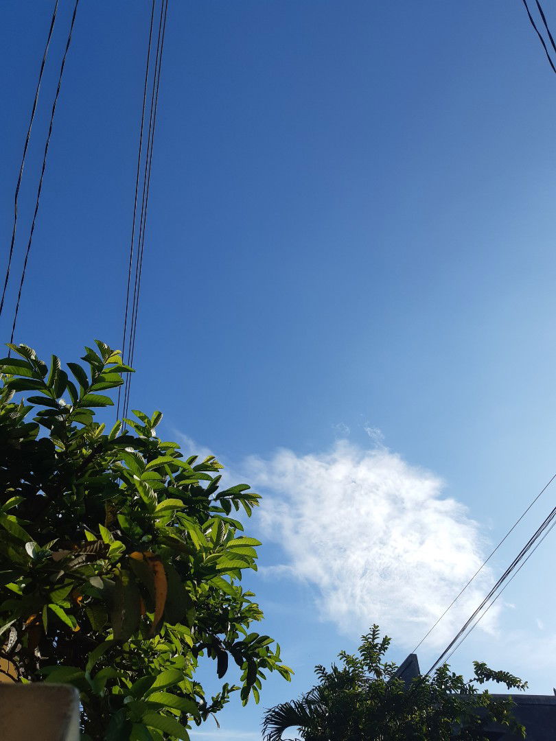 Septi Wulandari profile icon