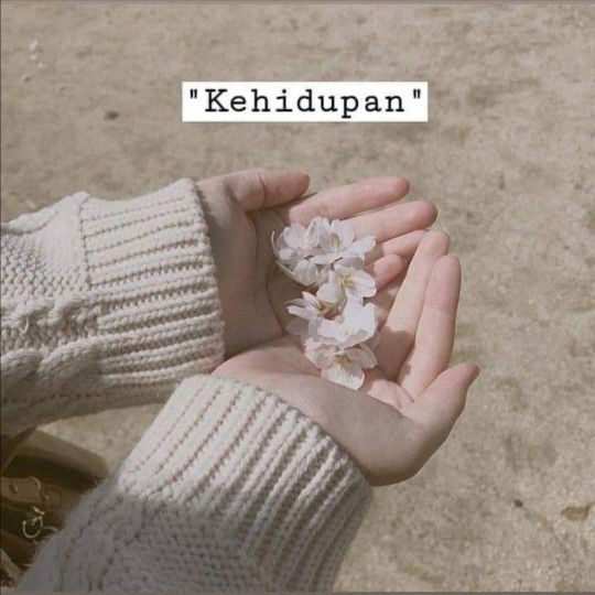 Nur Sahila profile icon