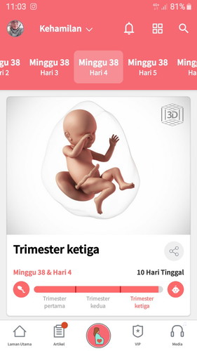 menghitung hari tarikh due 8/04/2020