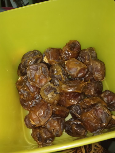 kurma