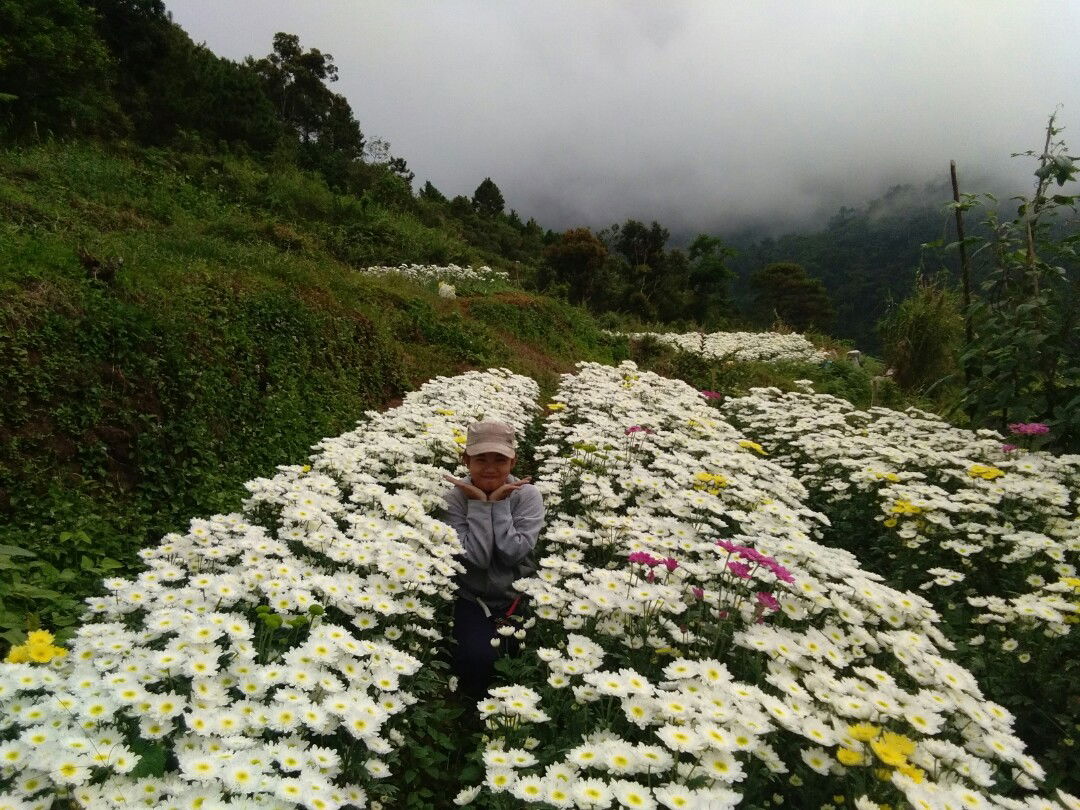 Apple gem profile icon