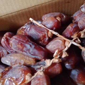kurma