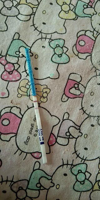 tolong dijawab bun..ini penting