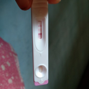 Hasil tes