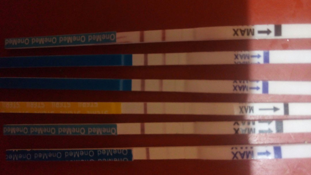 Evi Kristin Utami profile icon